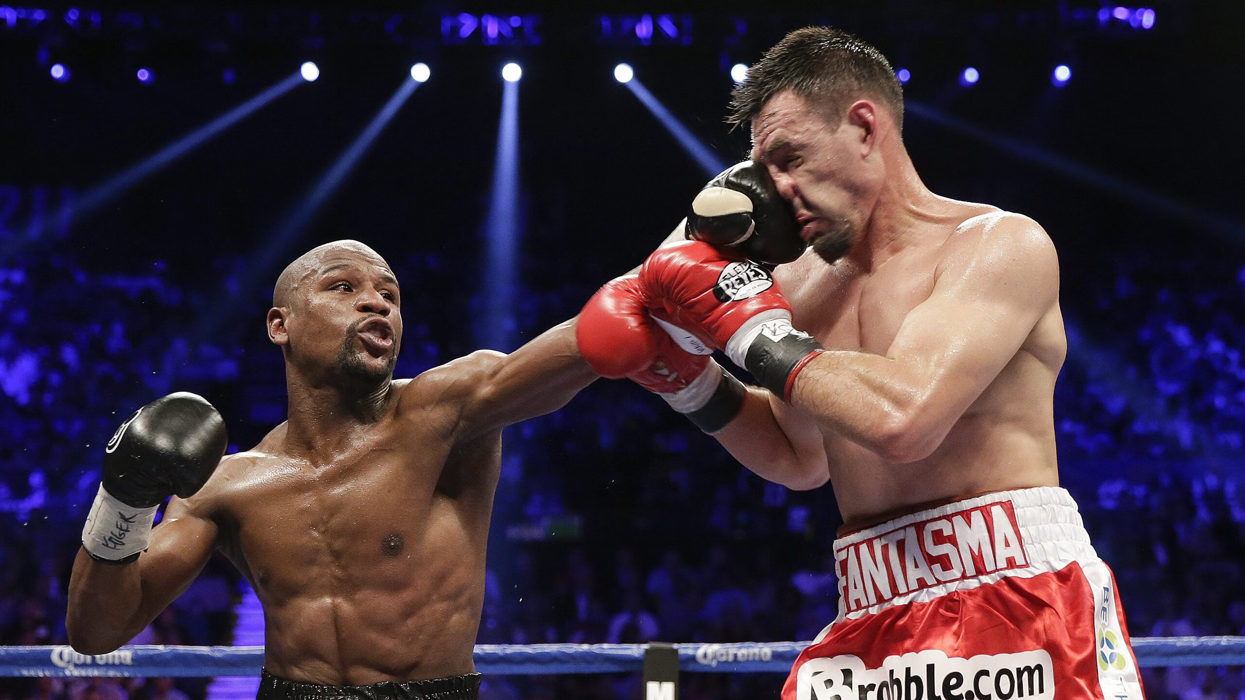 当斯坦福桥的蓝，染红巴斯克雄狮的骄傲